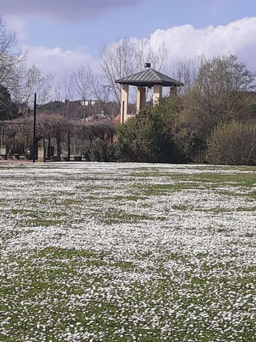 Dalla Rossa Montelupo Fiorentino Esterno foto